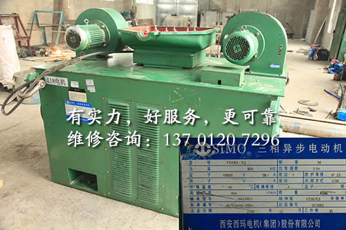 0-12-800KW10KV<a href=http://www.niuqi99.com/cases/gaoyadianjiweixiu/ target=_blank class=infotextkey><a href=http://www.niuqi99.com/cases/gaoyadianjiweixiu/ target=_blank class=infotextkey>ѹά</a></a>.jpg