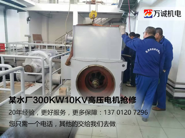 ĳˮ300KW10KV<a href=http://www.niuqi99.com/cases/gaoyadianjiweixiu/ target=_blank class=infotextkey>ѹά</a>