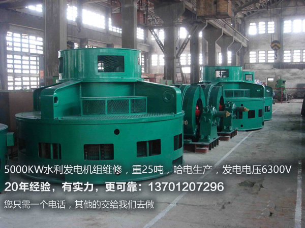 立式水轮发电机.jpg